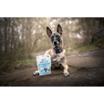 Brit Dog Dental Stick Teeth & Gums with Chamomile & Sage 7 pcs 251 g - Doplňky výživy, zubní péče