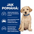 Hill's Prescription Diet Puppy Derm Complete Medium 4 kg - Granule pro psy