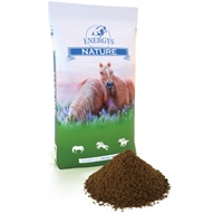 ENERGYS Omega lněné semeno extrudované 20 kg - Doplňky výživy pro koně