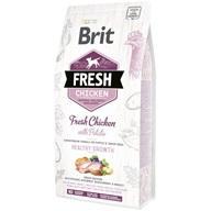 Brit Fresh Chicken with Potato Puppy Healthy Growth 2,5 kg - Granule pro psy