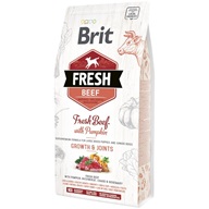 Brit Fresh Beef with Pumpkin Puppy Large Bones & Joints 2,5 kg - Granule pro psy
