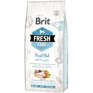 Brit Fresh with Pumpkin Adult Large 12 kg - Granule pro psy