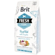 Brit Fresh with Pumpkin Adult Large 2,5 kg - Granule pro psy
