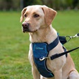 Company of Animals CarSafe Crash Tested postroj modrý S - Letní tipy