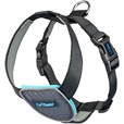 Company of Animals CarSafe Essentials postroj černý S - Letní tipy