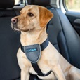 Company of Animals CarSafe Essentials postroj černý L - Cestování, přeprava psa