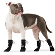 Botičky sada Canada Pooch 4 černé - Letní tipy