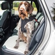 Bezpečnostní pás pro psa Ultimate Isofix KONG - Letní tipy