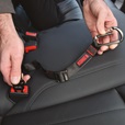 Bezpečnostní pas pro psa Belt KONG - Letní tipy
