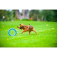 PitchDog Ring modrý 17 cm - Výcvikové pomůcky