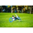 PitchDog Ring modrý 17 cm - Výcvikové pomůcky