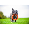 PitchDog Ring oranžový 17 cm - Výcvikové pomůcky