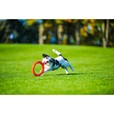 PitchDog Ring oranžový 17 cm - Výcvikové pomůcky