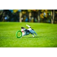 PitchDog Ring zelený 17 cm - Letní tipy