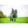 PitchDog Ring zelený 17 cm - Letní tipy