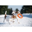PitchDog Ring oranžový 20 cm - Výcvikové pomůcky
