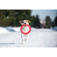 PitchDog Ring červený 20 cm - Výcvikové pomůcky