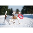 PitchDog Ring červený 20 cm - Výcvikové pomůcky
