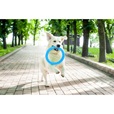 PitchDog Ring modrý 30 cm - Hračky pro psy