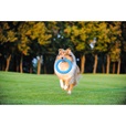 PitchDog Ring modrý 30 cm - Hračky pro psy