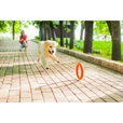 PitchDog Ring oranžový 30 cm - Hračky pro psy