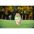 PitchDog Ring zelený 30 cm - Výcvikové pomůcky