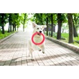 PitchDog Ring červený 30 cm - Výcvikové pomůcky