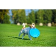 PitchDog Disk modrý - Letní tipy