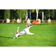PitchDog Disk oranžový - Letní tipy