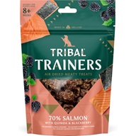 Tribal Trainers Salmon & Blackberry 80 g - Výcvikové pomůcky