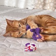 KONG Cat Active Rope 2 ks - Hračky pro kočky, catnip