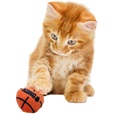 KONG Cat Sport Balls 2 ks mix - Hračky pro kočky, catnip