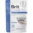 Brit Veterinary Diet Cat Pouch fillets in Gravy Recovery 12x85 g - Veterinární diety pro kočky