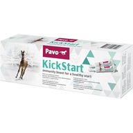 Pavo KickStart 64 ml - Doplňky výživy pro koně