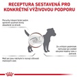 Royal Canin VD Dog Dry Gastro Intestinal Low fat Small breed 8 kg - Veterinární diety pro psy