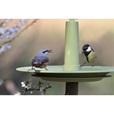 Plastia Finch pítko pro ptáky olivové - Krmivo, budky a krmítka pro venkovní ptactvo