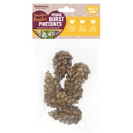 Rosewood Veggie Burst Pinecones 6 ks 75 g
