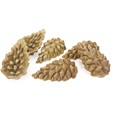 Rosewood Veggie Burst Pinecones 6 ks 75 g - Pamlsky
