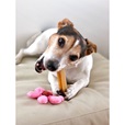 Dogsie Himalájská tyčka M 45 g - Doplňky výživy, zubní péče