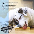 Dogsie Himalájská tyčka L 70 g - Doplňky výživy, zubní péče