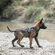 Non-stop dogwear Ramble postroj M zelený - Letní tipy