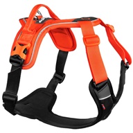 Non-stop dogwear Ramble postroj XS oranžový - Letní tipy