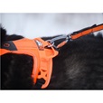 Non-stop dogwear Ramble postroj M oranžový - Postroje a příslušenství