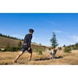 Non-stop dogwear Trekking Belt opasek S černý - Letní tipy
