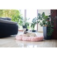 Samohýl Exclusive polštář Ruby 60 cm růžový - Pelíšky pro psy, pelechy, textilní boudy