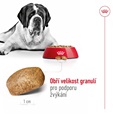 Royal Canin Giant Adult 15 kg - Granule pro psy