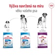 Royal Canin Giant Adult 15 kg - Granule pro psy