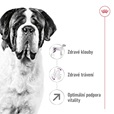 Royal Canin Giant Adult 15 kg - Granule pro psy
