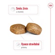 Royal Canin Giant Adult 15 kg - Granule pro psy