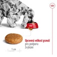 Royal Canin Medium Adult 7+ 4 kg - Granule pro psy